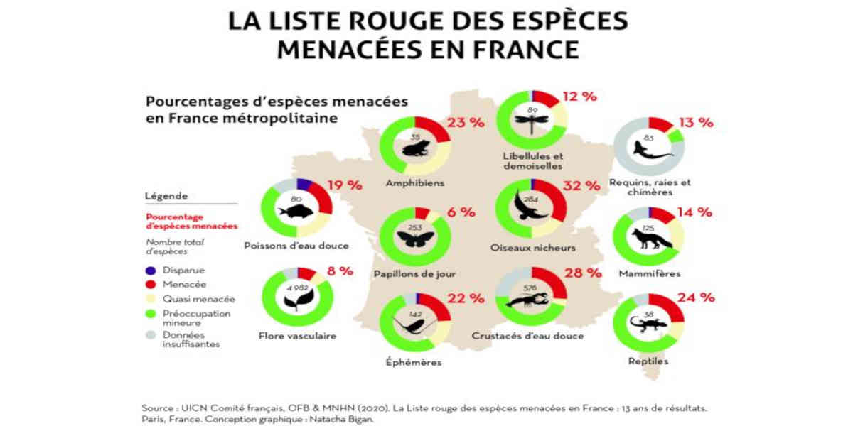 En France, seulement 43% des espèces dites 