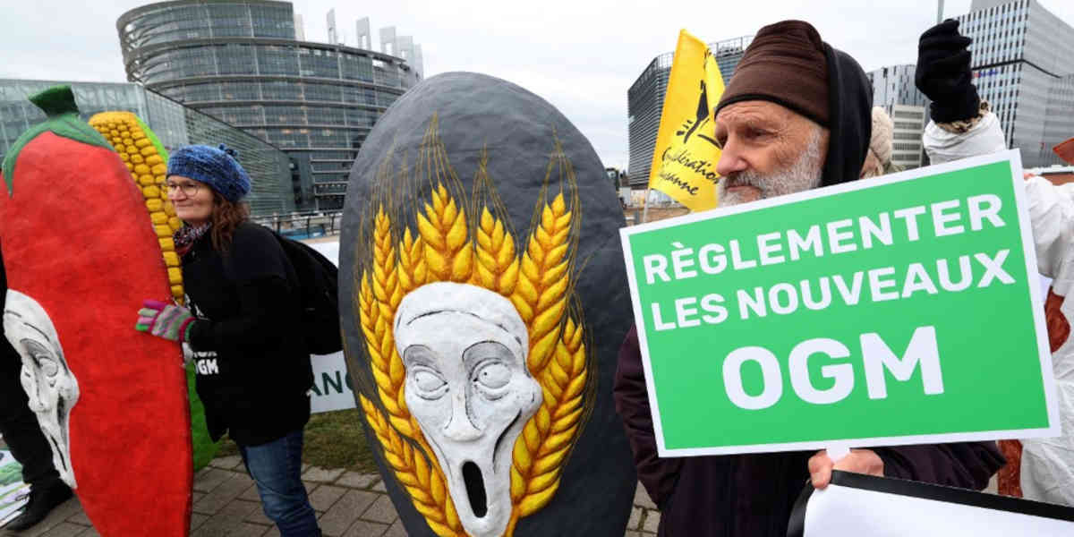 FRANCE-AGRICULTURE-POLITICS-PROTEST - Votre Actualité au Quotidien Le Parlement européen autorise l'introduction dans l'agriculture d'une nouvelle génération d'OGM