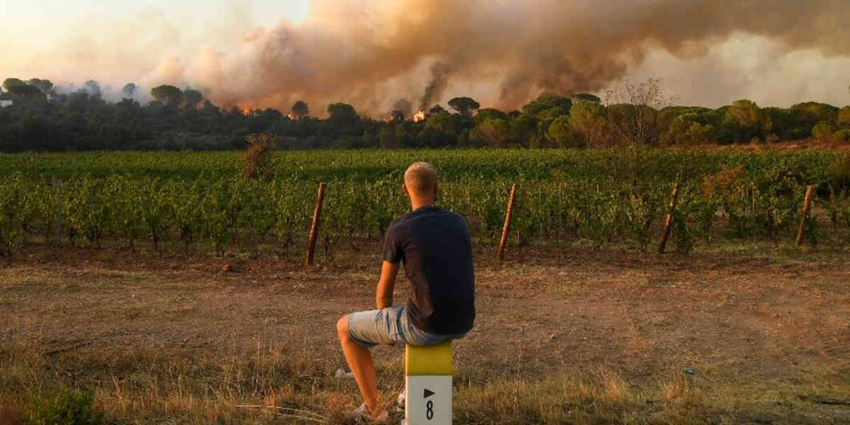 32 personnes ont été interpellées, car toutes sont soupçonnées d'être à l'origine de départs de feu width=