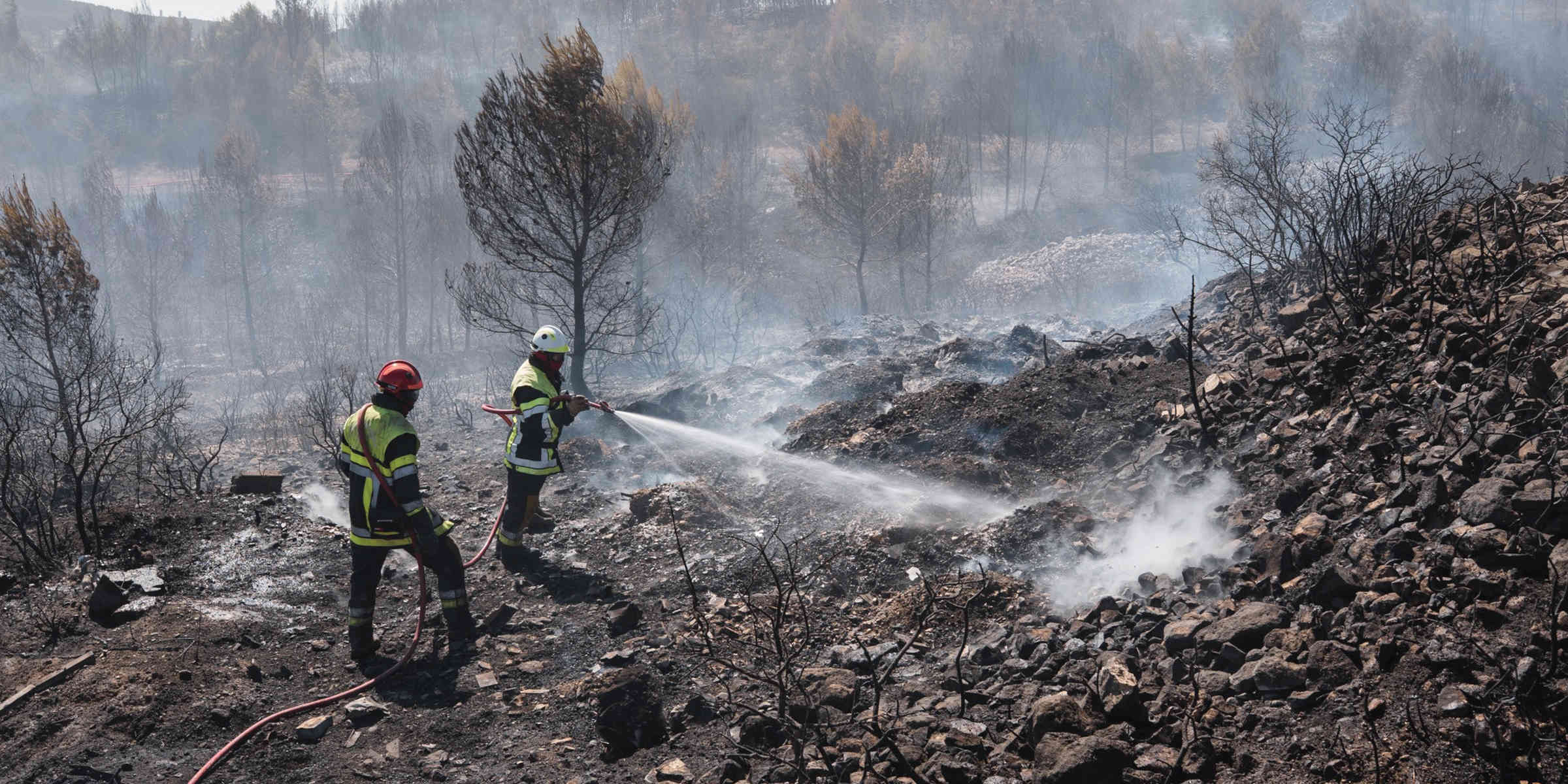 Depuis le début de l'année, plus de 25 000 hectares en France ont été dévastés par les incendies