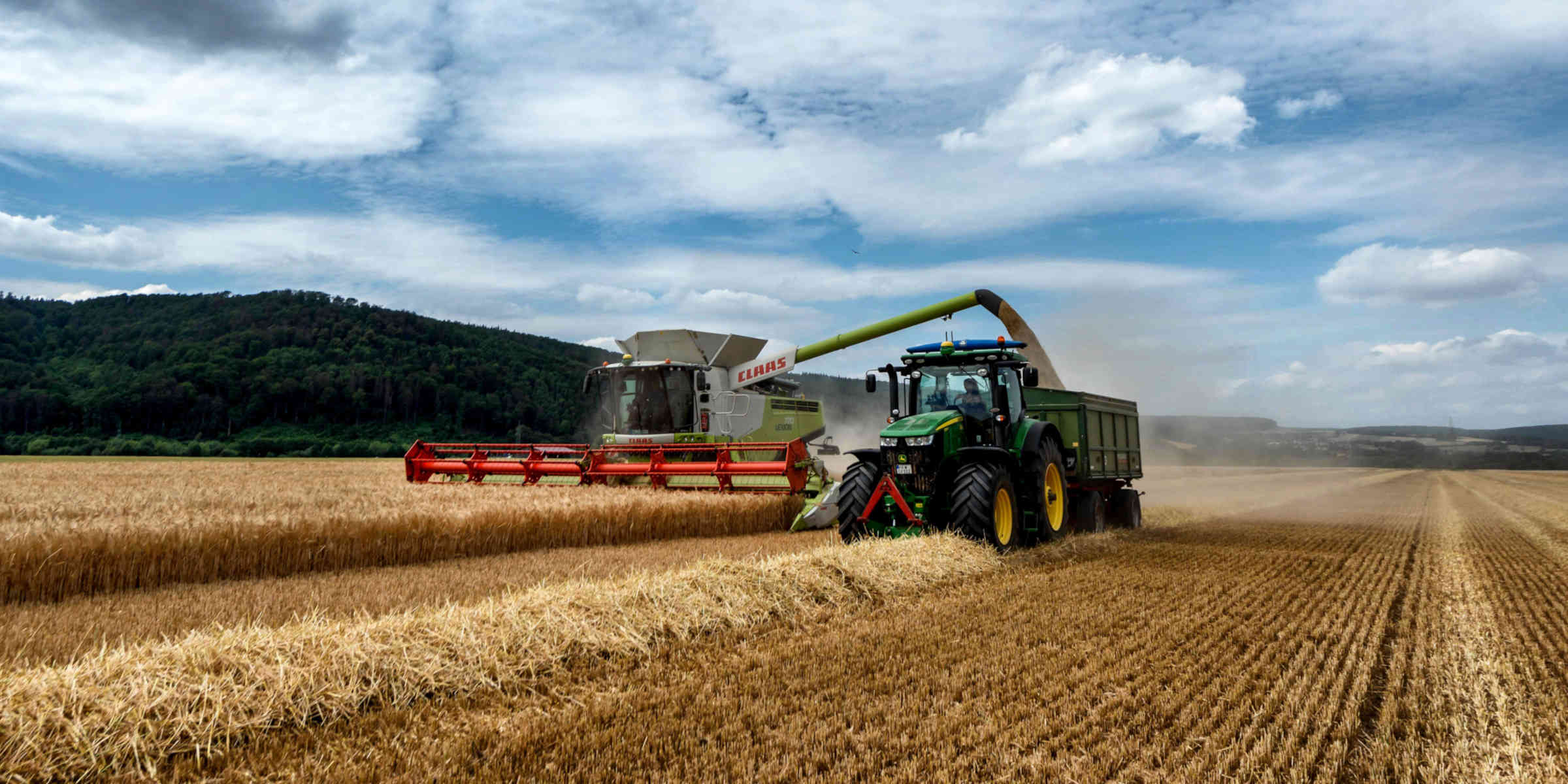 La crise agricole s'aggrave à cause de la sécheresse et des incendies