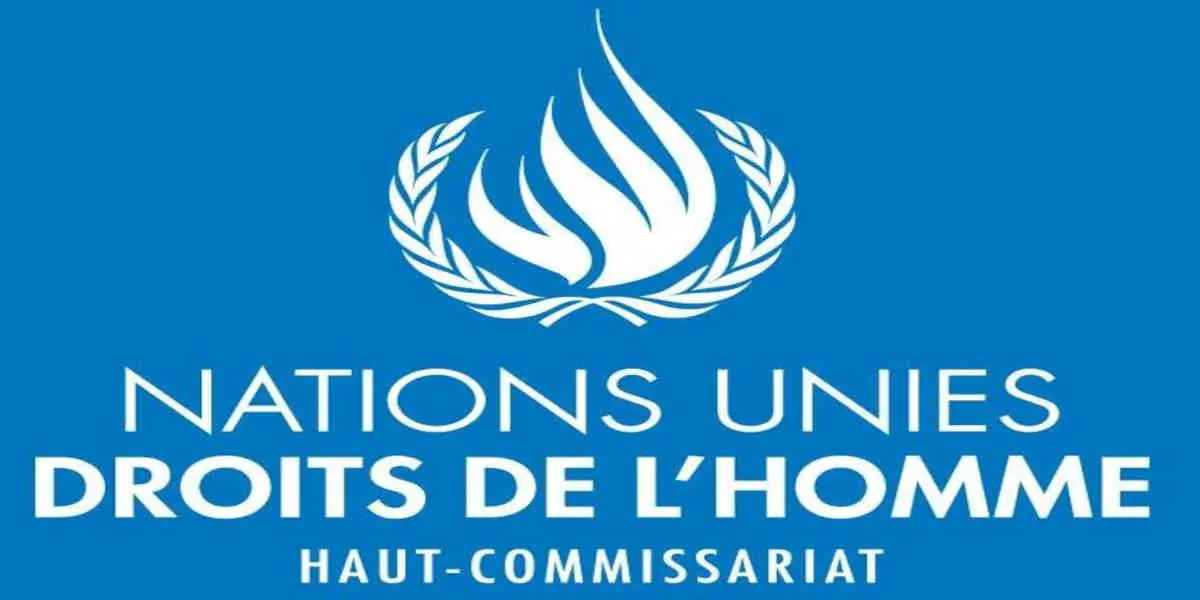 La possibilité d'un « crime contre l'humanité » et d'un « nettoyage ethnique » par Israël est évoquée par l'ONU