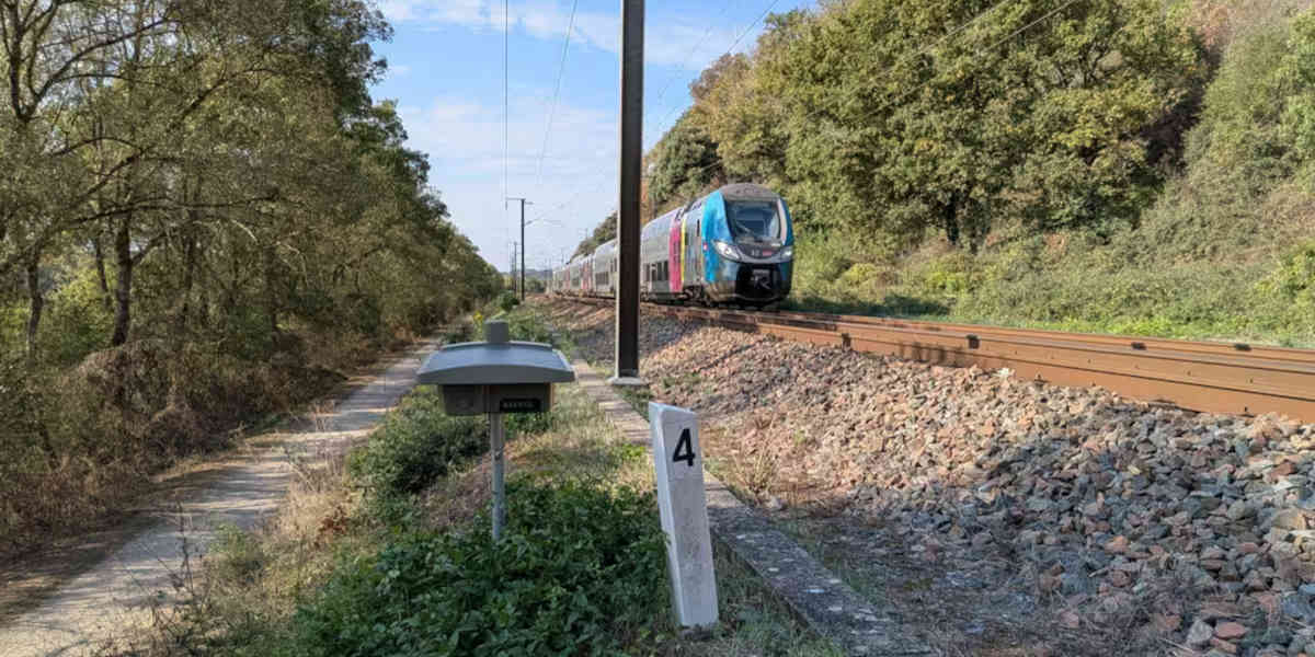 SNCF Réseau teste un système d'effarouchement des animaux, pour éviter les collisions de train