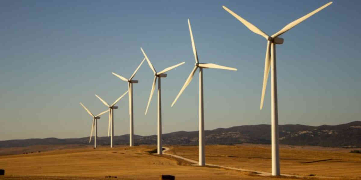 Parc-eolienne - Votre Actualité au Quotidien Les éoliennes en France provoquent chaque année la mort d'environ 60 000 chauves-souris